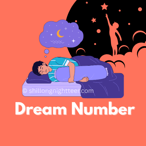 Night teer dream numbers